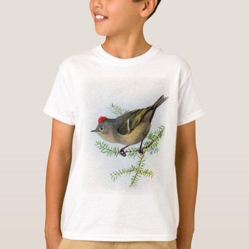 Ruby_crowned Kinglet T_Shirt