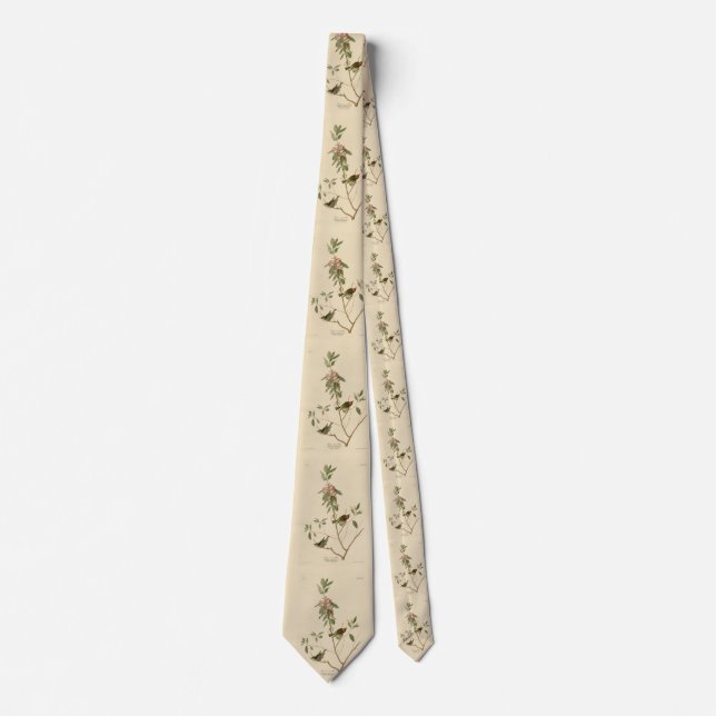 Ruby crowned Wren (Kinglet) Audubon Birds America Neck Tie (Front)