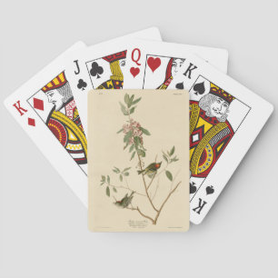 Ruby crowned Wren (Kinglet) Audubon Birds America Poker Cards