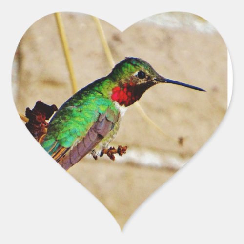 Ruby Green hummingbird Heart Sticker