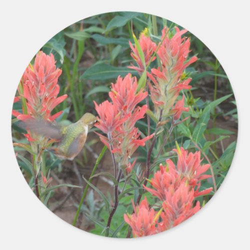 Ruby in Red Flowers Hummingbird Classic Round Sticker