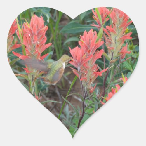 Ruby in Red Flowers Hummingbird Heart Sticker