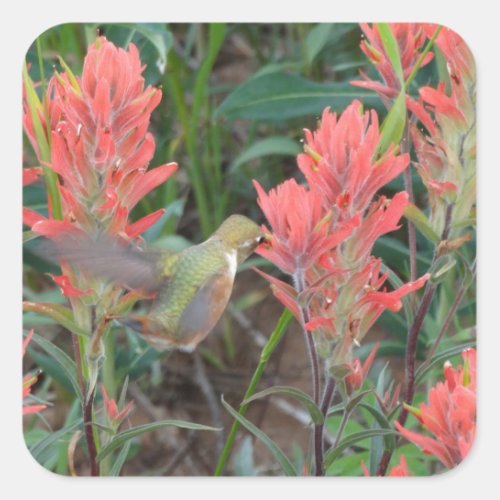 Ruby in Red Flowers Hummingbird Square Sticker
