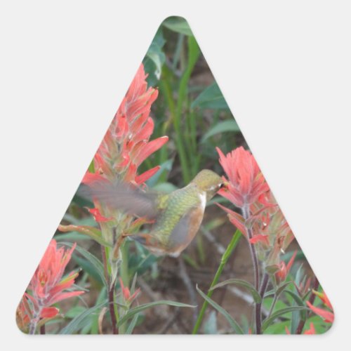 Ruby in Red Flowers Hummingbird Triangle Sticker