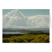 Ruby Marshes, Rabbit Brush (Front Horizontal)