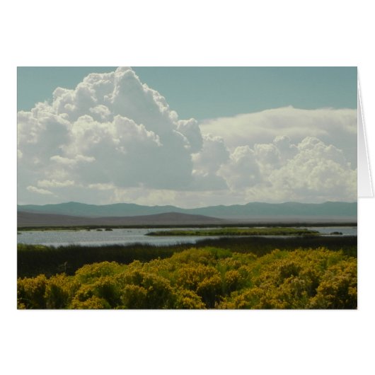 Ruby Marshes, Rabbit Brush Cards (Front Horizontal)