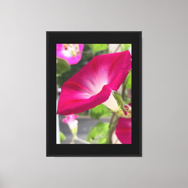 Ruby Red Morning Glory Canvas Print (Front)