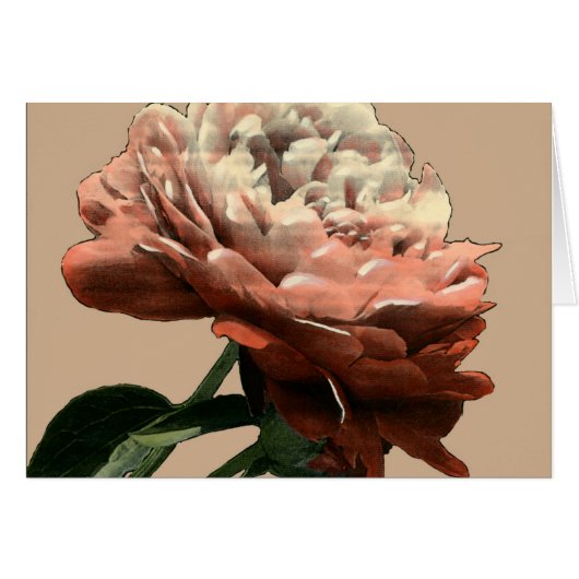 Ruby Red Rose with White Accents Cards (Front Horizontal)