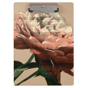 Ruby Red Rose with White Accents Clipboard