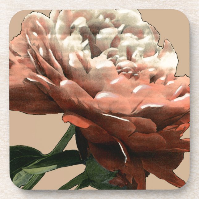 Ruby Red Rose with White Accents Drink Coaster (Front)