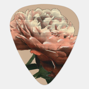 Ruby Red Rose with White Accents Guitar Pick