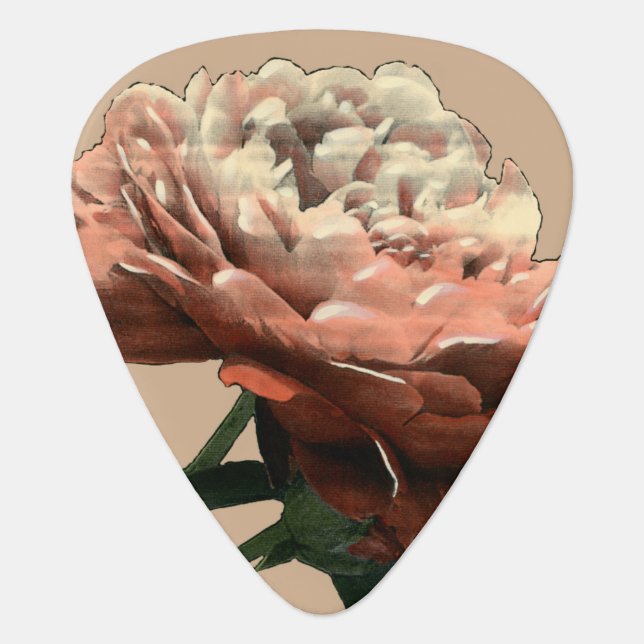 Ruby Red Rose with White Accents Guitar Pick (Front)