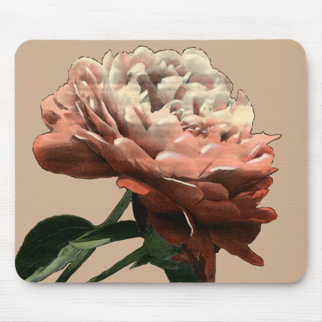 Ruby Red Rose with White Accents Mouse Pad (Front)