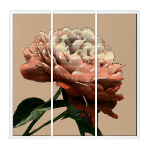 Ruby Red Rose with White Accents Triptych