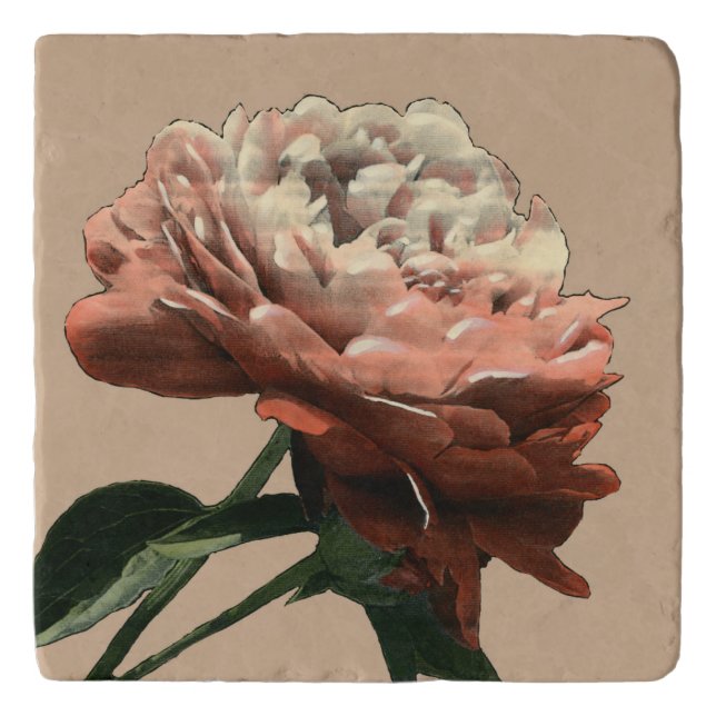 Ruby Red Rose with White Accents Trivet (Front)