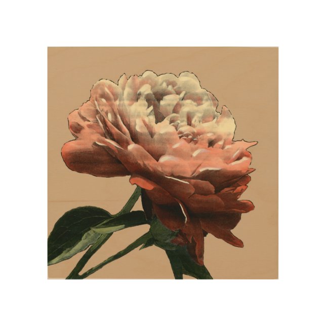 Ruby Red Rose with White Accents Wood Wall Decor (Front)