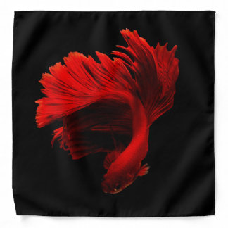 Ruby Red Siamese Fighting Fish Bandana