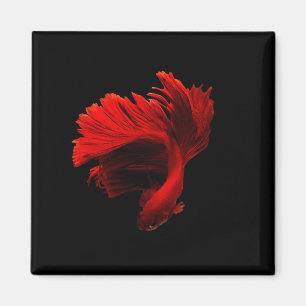 Ruby Red Siamese Fighting Fish Magnet