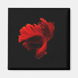 Ruby Red Siamese Fighting Fish Magnet