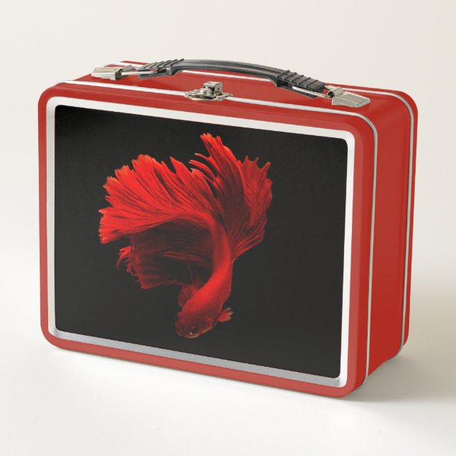 Ruby Red Siamese Fighting Fish Metal Lunch Box (Front)