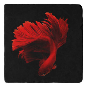 Ruby Red Siamese Fighting Fish Trivet