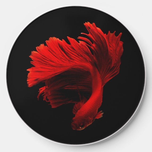 Ruby Red Siamese Fighting Fish Wireless Charger (Front)