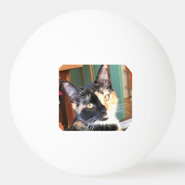 Ruby’s Ping Pong Ball (Front)
