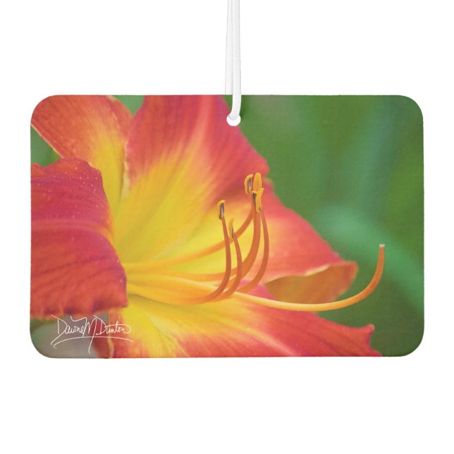 Ruby Spider Day Lily Air Freshener (Front)