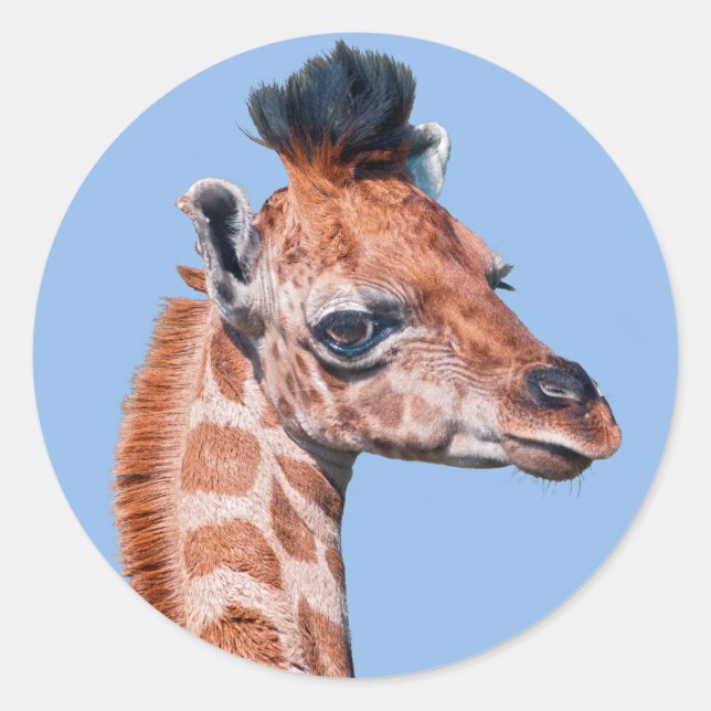 Ruby Sticker (Front)