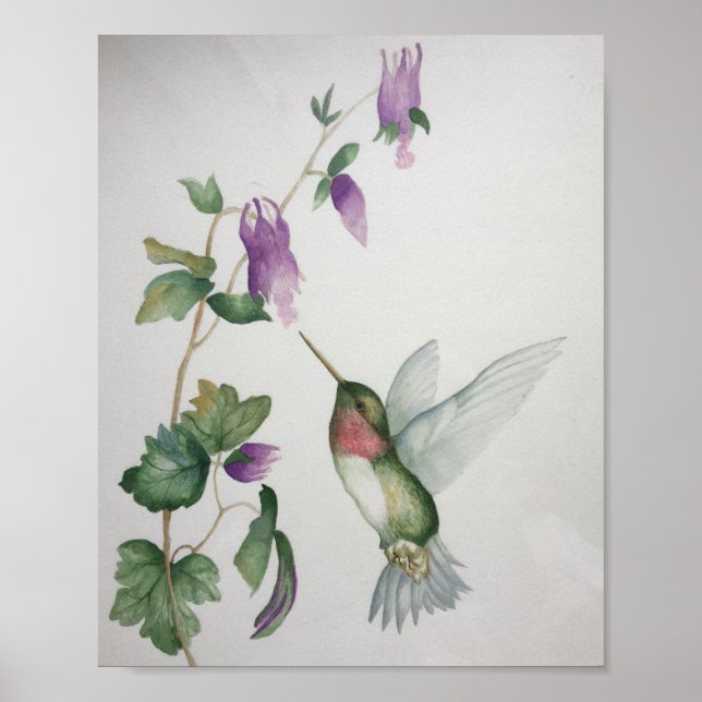 Ruby=throasted Hummingbird Garden Fuchsia Poster (Front)