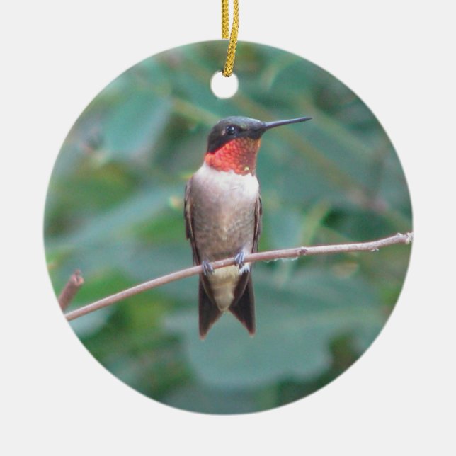 Ruby-throat Hummingbird Ceramic Ornament (Front)