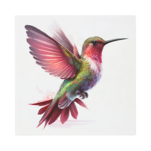 Ruby Throat Hummingbird In Full Flight Metal Print