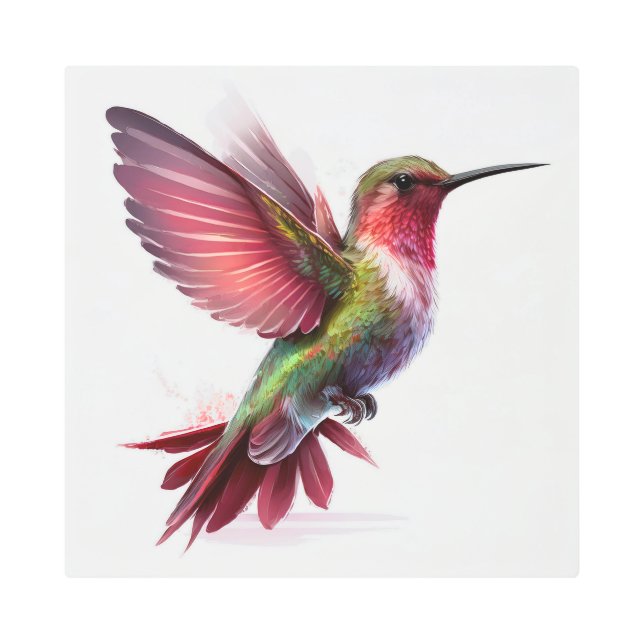 Ruby Throat Hummingbird In Full Flight Metal Print (Front)