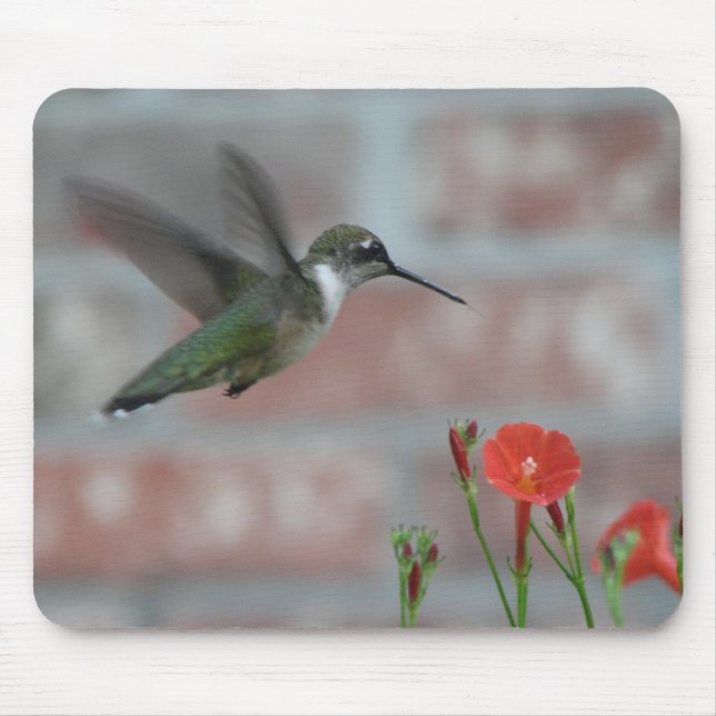 Ruby-throat & Morning Glory Mousepad (Front)