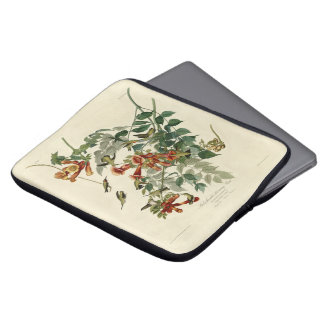 Ruby-throated Humming Bird, Audubon Birds America Laptop Sleeve