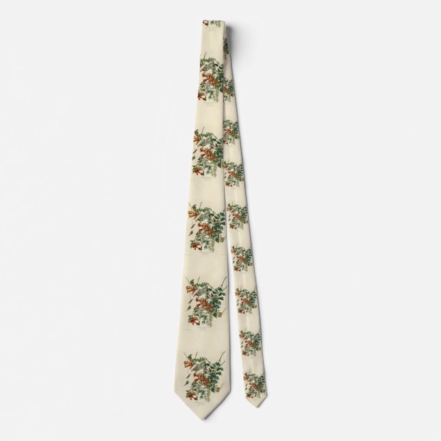 Ruby-throated Humming Bird, Audubon Birds America Neck Tie (Front)