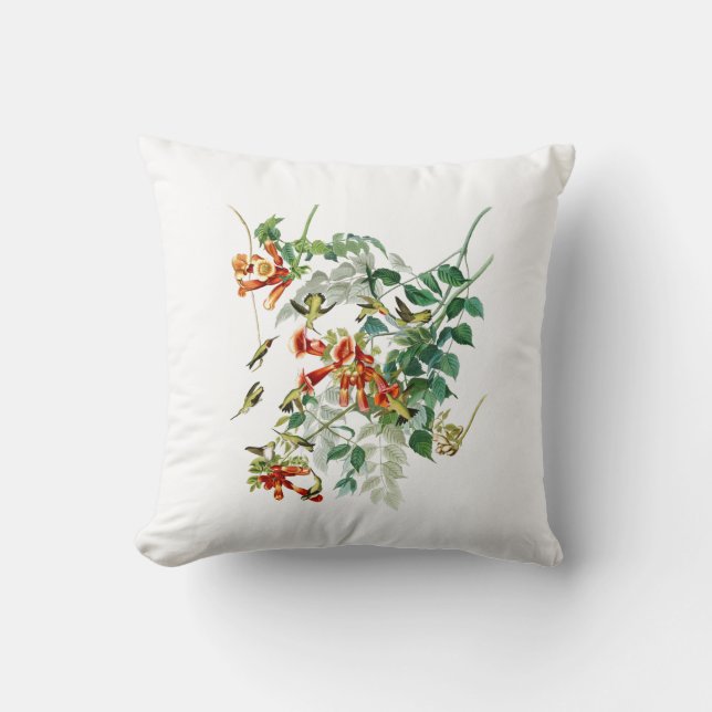 Ruby-throated Humming Bird Audubon Birds America Throw Pillow (Front)