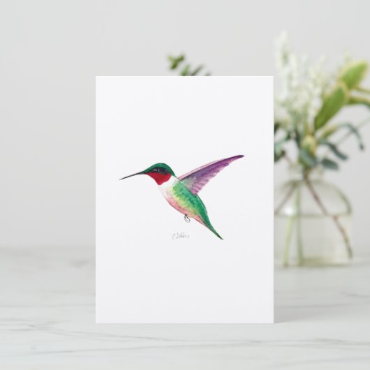 Ruby-throated Hummingbird (Standing Front)