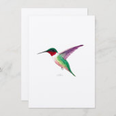 Ruby-throated Hummingbird (Front/Back)