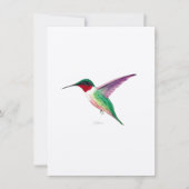 Ruby-throated Hummingbird (Front)