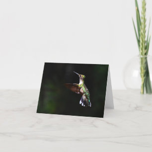 Ruby-throated Hummingbird #2 - Blank Note Card