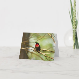 Ruby-throated Hummingbird #4 - Blank Note Card