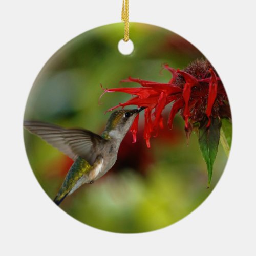 Ruby_Throated Hummingbird Archilochus Colubris Ceramic Ornament