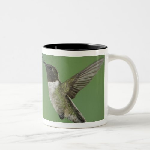 Ruby_throated Hummingbird Archilochus Two_Tone Coffee Mug