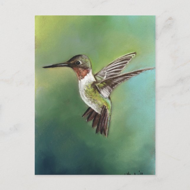Ruby Throated Hummingbird Art Postcard (Front)