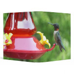 Ruby-Throated Hummingbird Bird Photography 3 Ring Binder