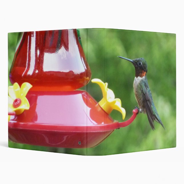 Ruby-Throated Hummingbird Bird Photography 3 Ring Binder (Background)