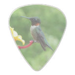 Ruby-Throated Hummingbird Bird Photography Acetal Guitar Pick