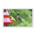 Ruby-Throated Hummingbird Bird Photography Acrylic Tray