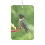 Ruby-Throated Hummingbird Bird Photography Air Freshener